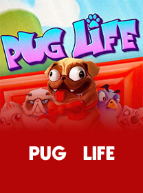 Pug Life Game: Cara Akses dan Bermain dengan Aman